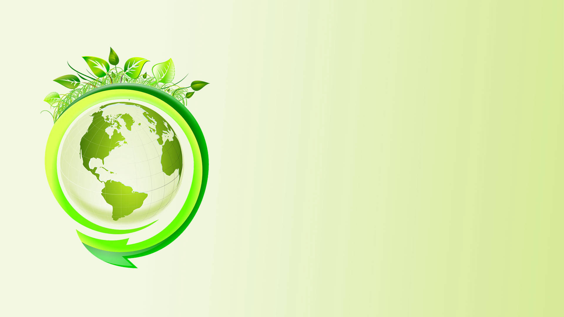 Péter Hajas, Environmental Management